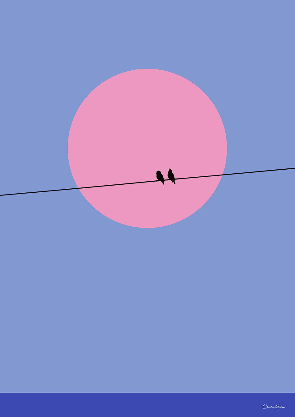 Companion