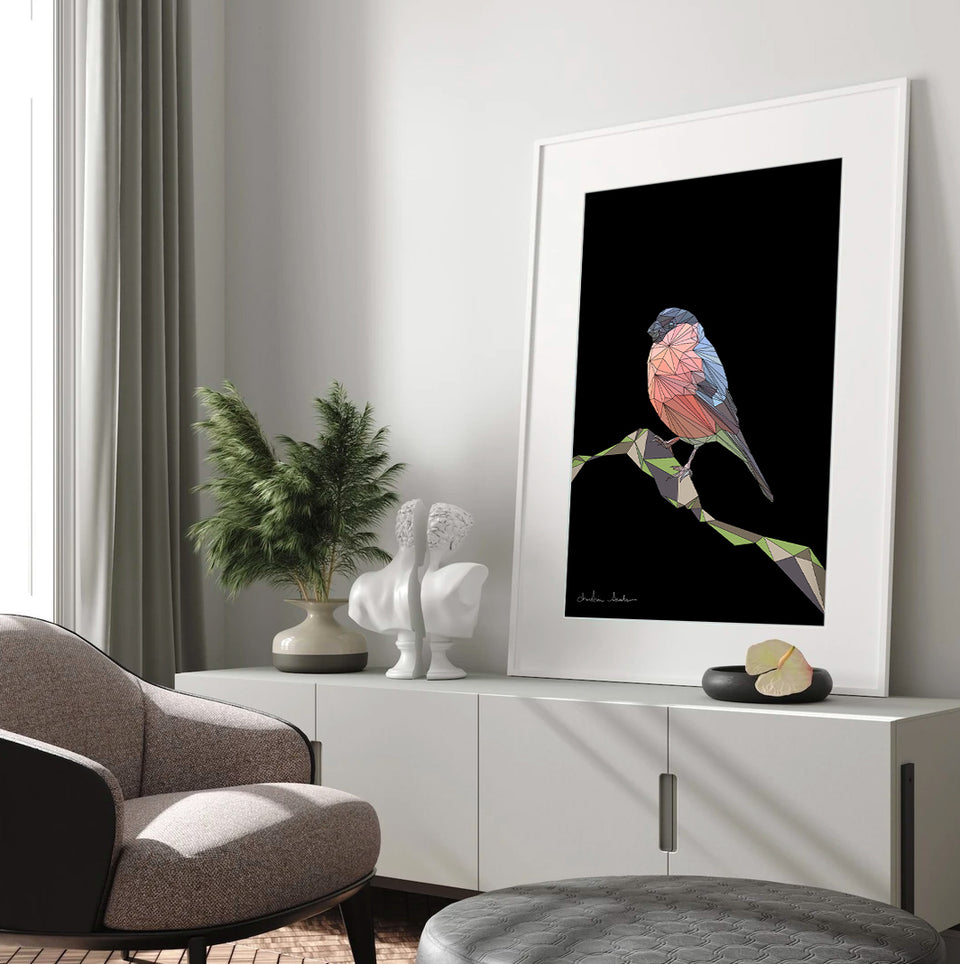 EURASIAN BULLFINCH 1.1