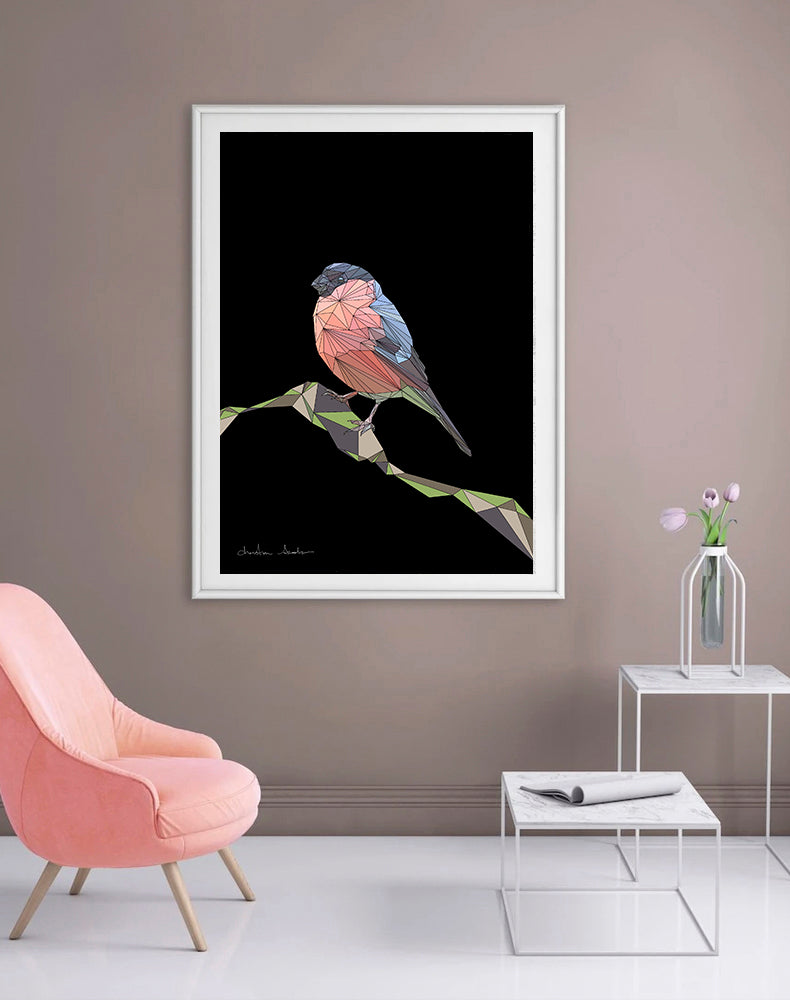 EURASIAN BULLFINCH 1.1