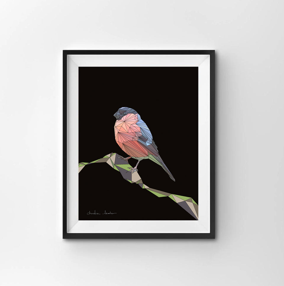 EURASIAN BULLFINCH 1.1