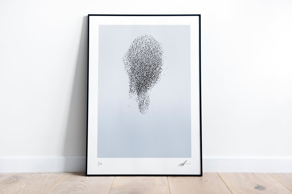Murmuration 4 - Framed