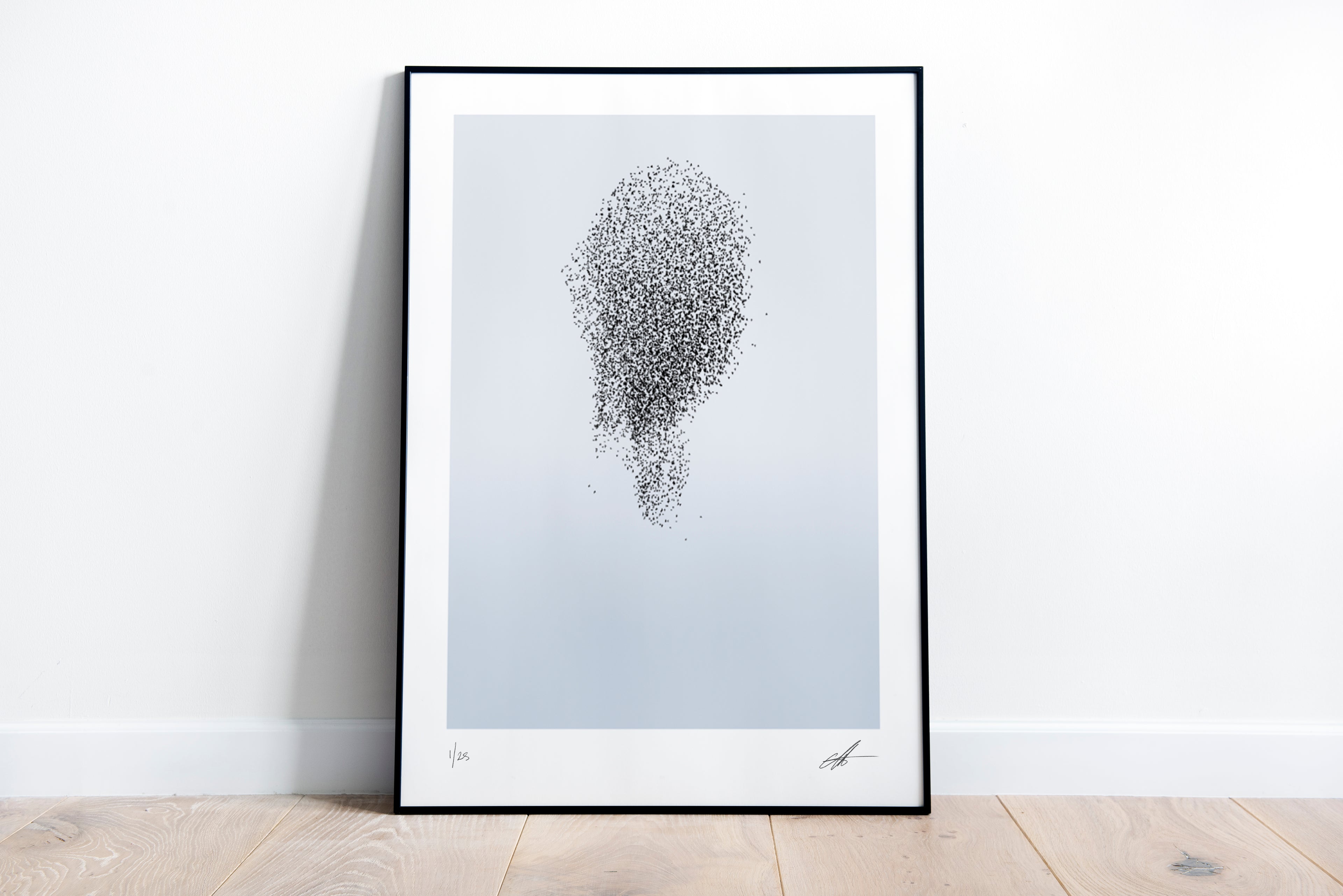 Murmuration 4