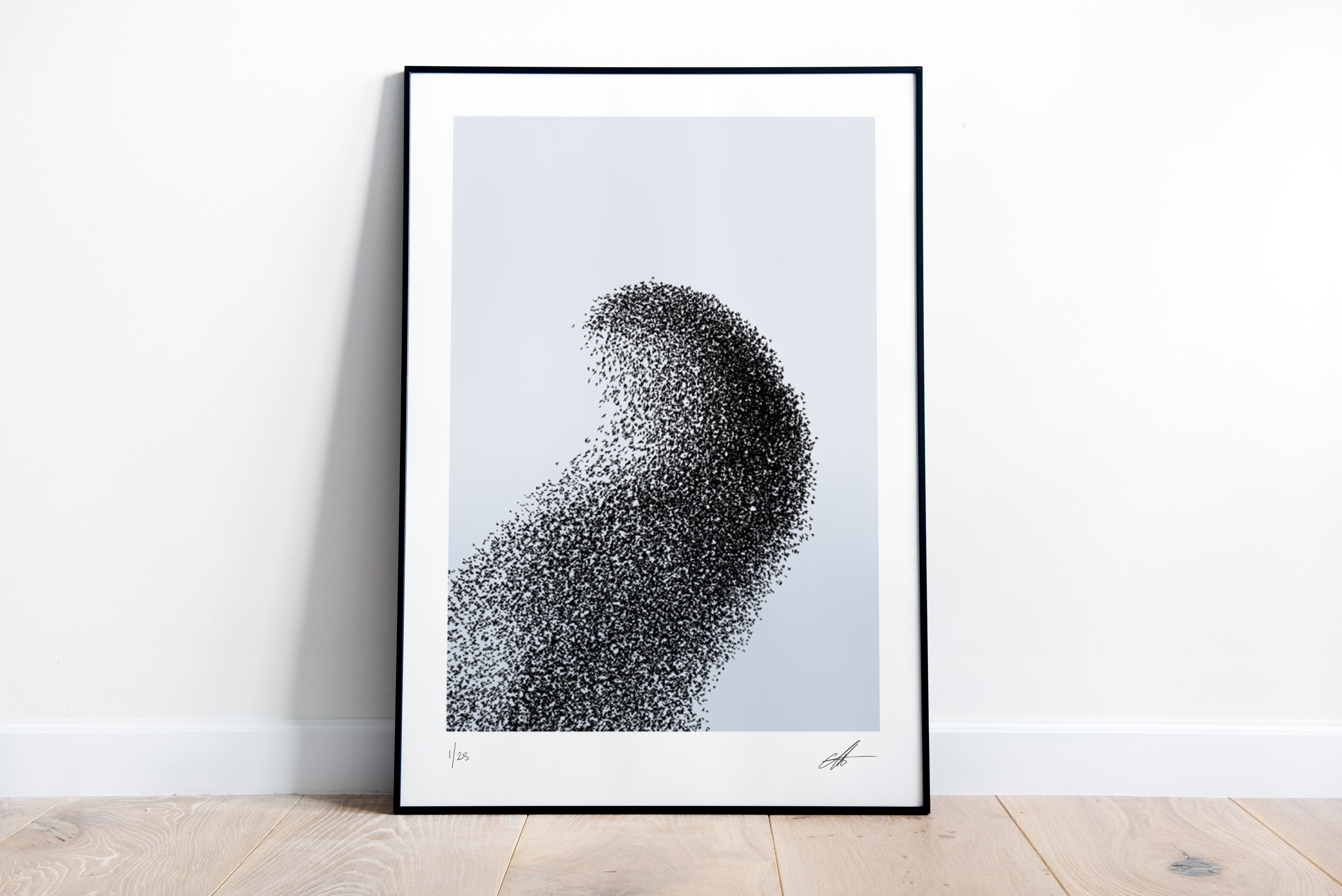 Murmuration 5