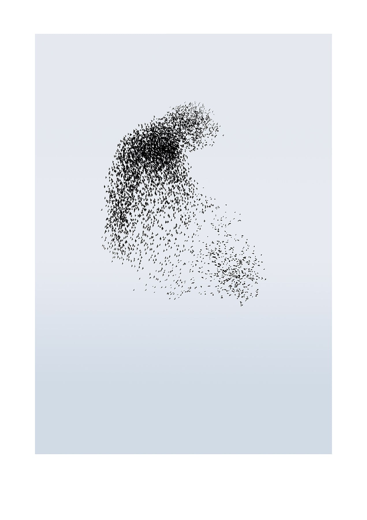 Murmuration 6