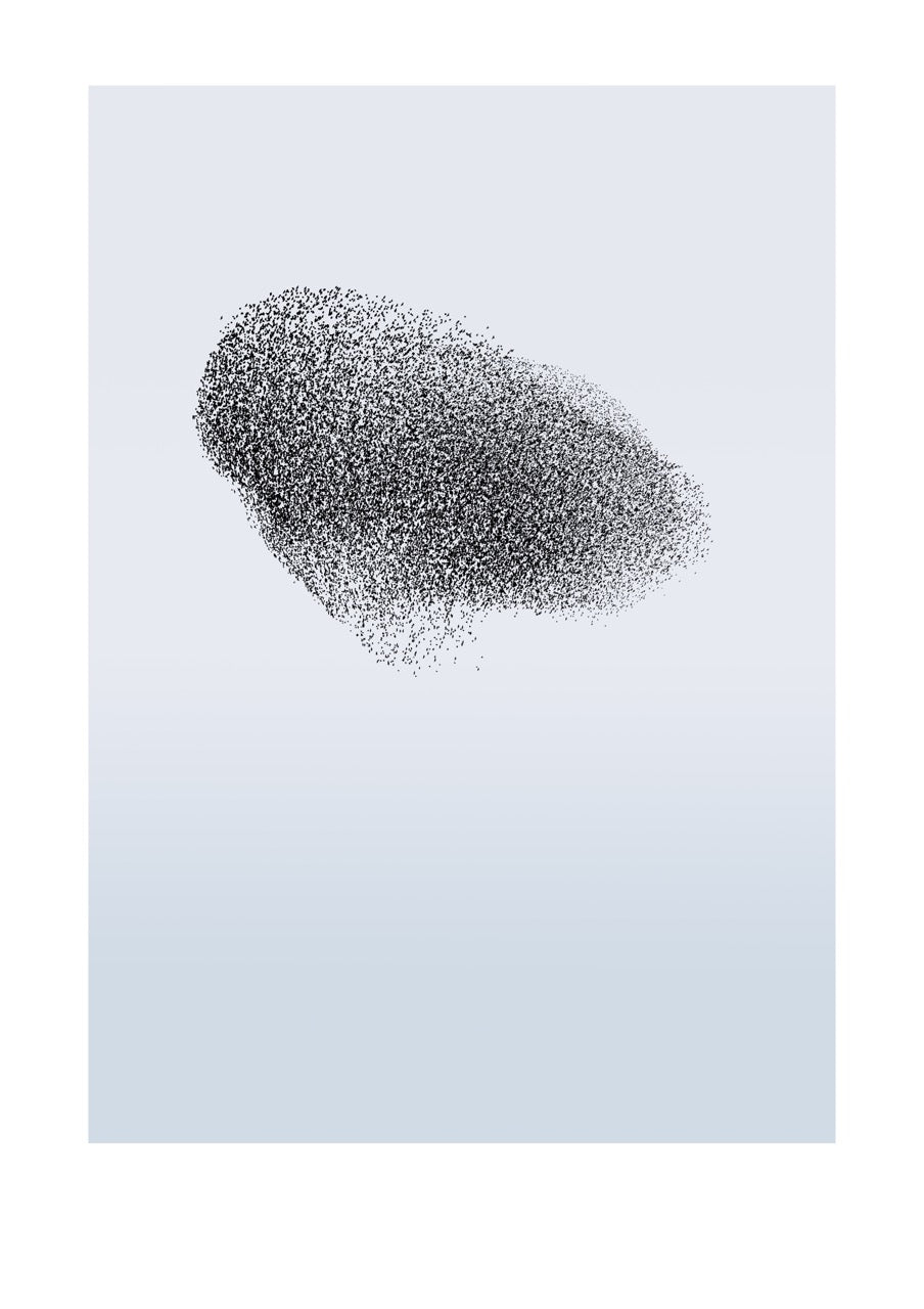 Murmuration 1
