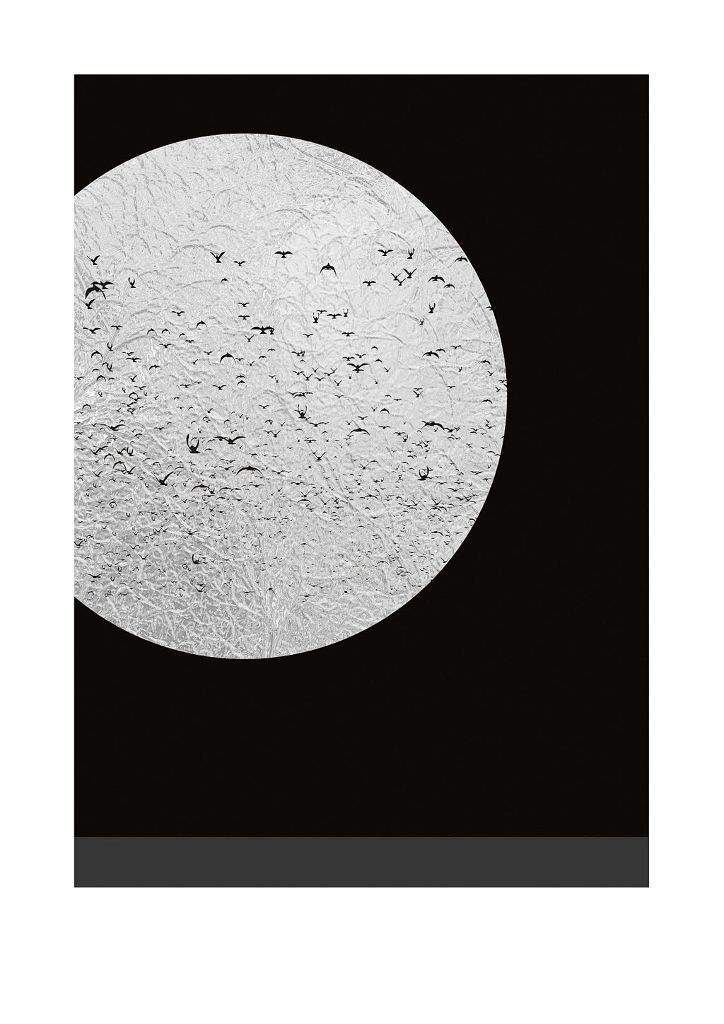 Silver Moon Gallery Edition