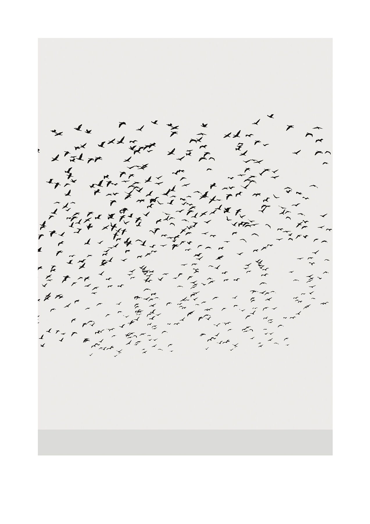 Freedom Gallery Edition