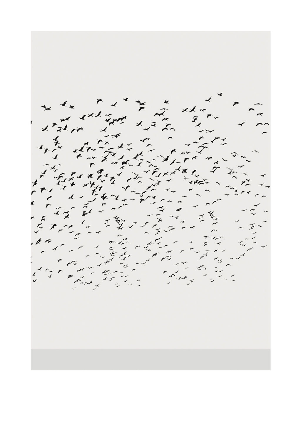 Freedom Gallery Edition