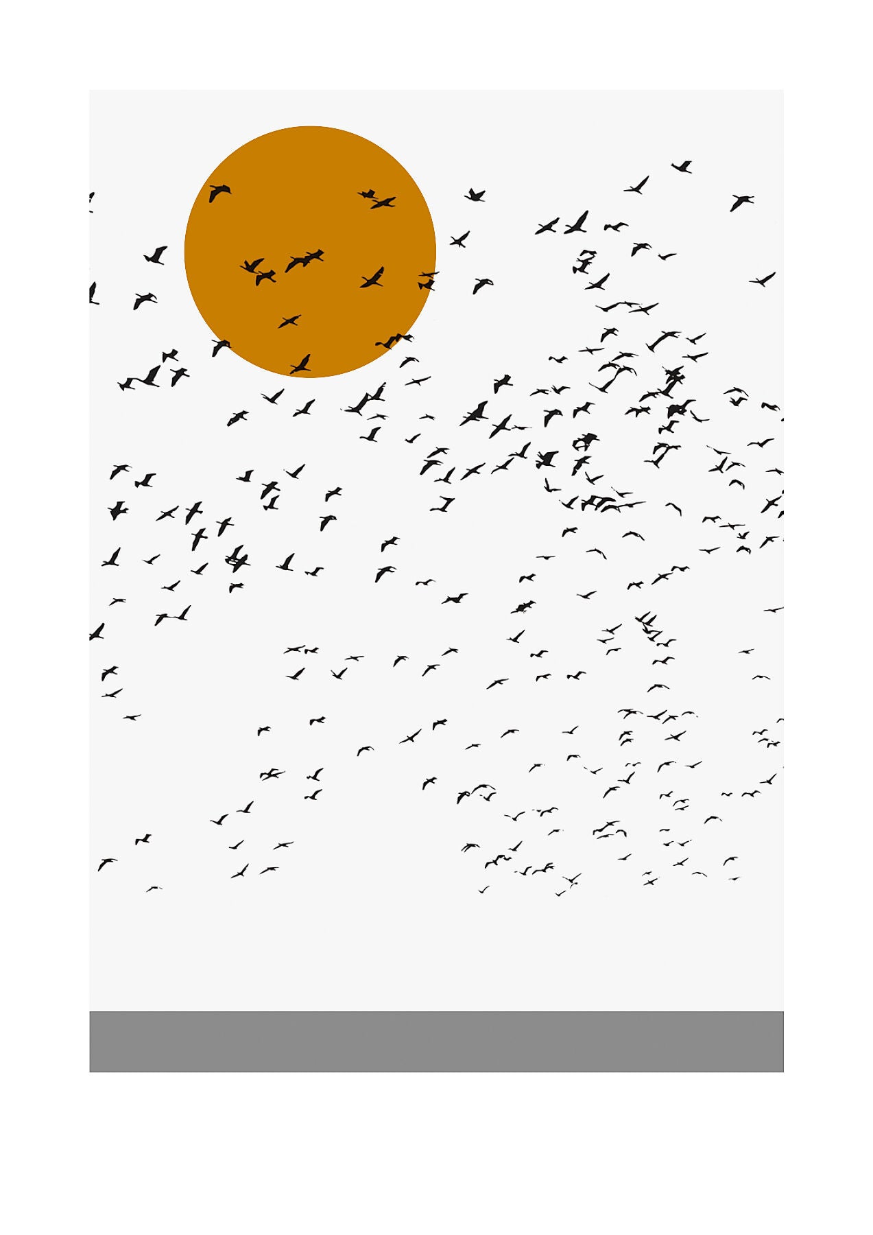 Together Gallery Edition