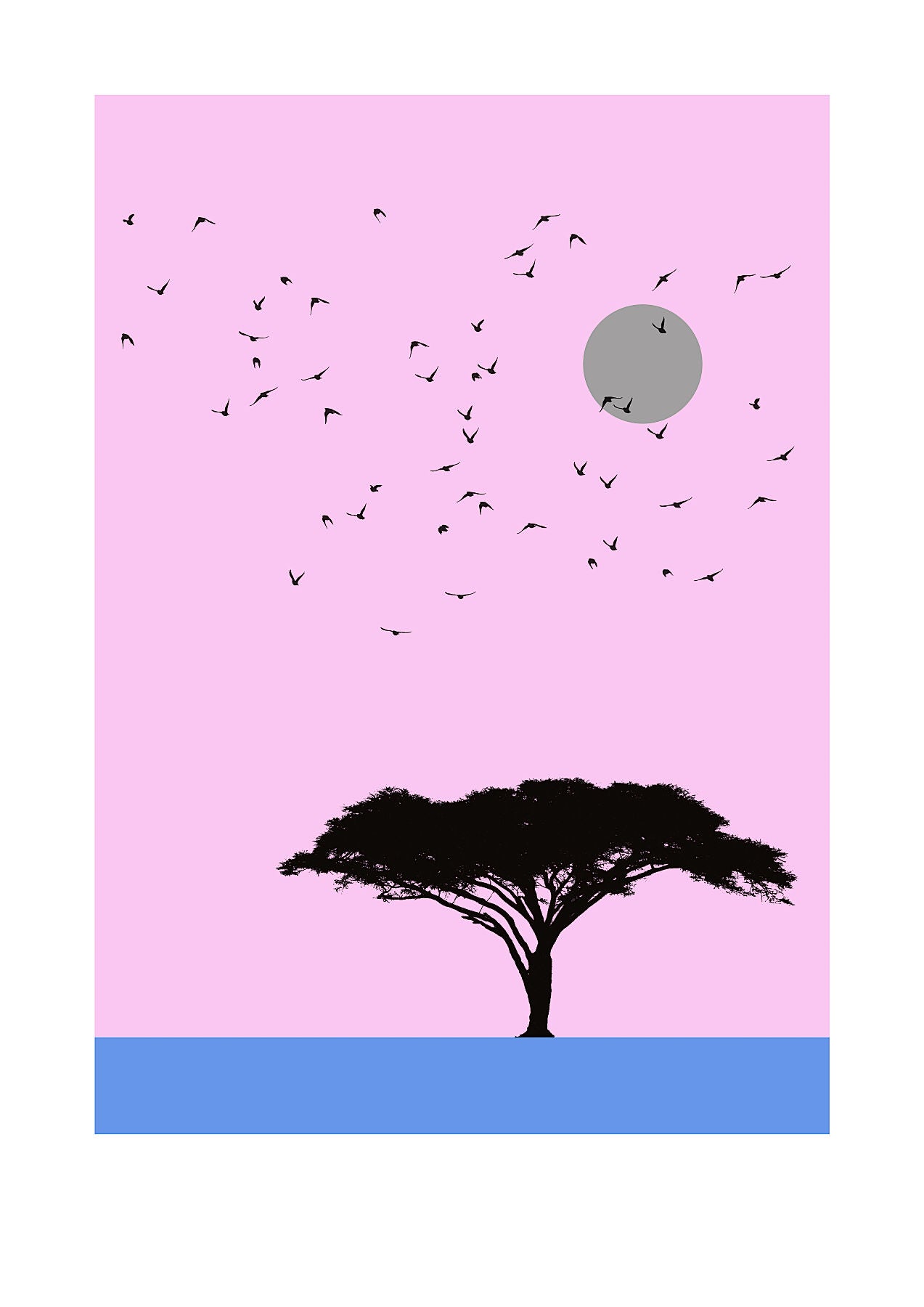 Savanna Gallery Edition